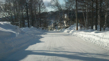 snow1314_sugadaira_road.jpg