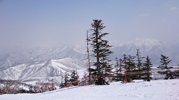 snow1415_Kagura03.jpg