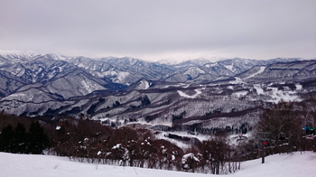 snow1617_Hodaigi.jpg